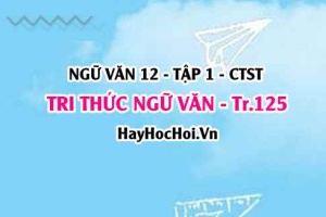 Soạn bài Tri thức Ngữ Văn trang 125, 126 Ngữ văn 12 Chân trời sáng tạo
